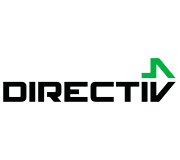 Директив