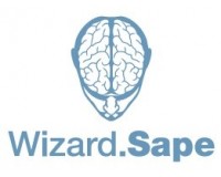 Wizard.Sape